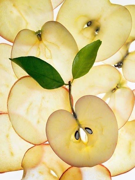 Garden's Essence: Vibrant Veggie Medley Collection